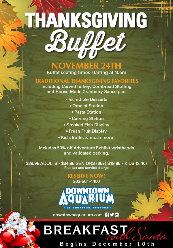 Dollar tree store hours on thanksgiving