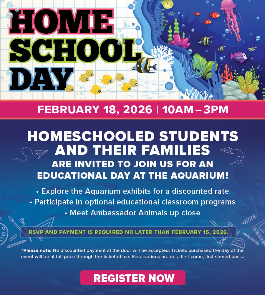 Homeschooled students and their families are invited for an educational day at the Aquarium!