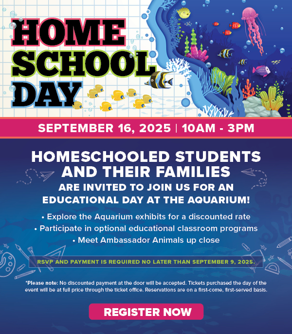 Homeschooled students and their families are invited for an educational day at the Aquarium!