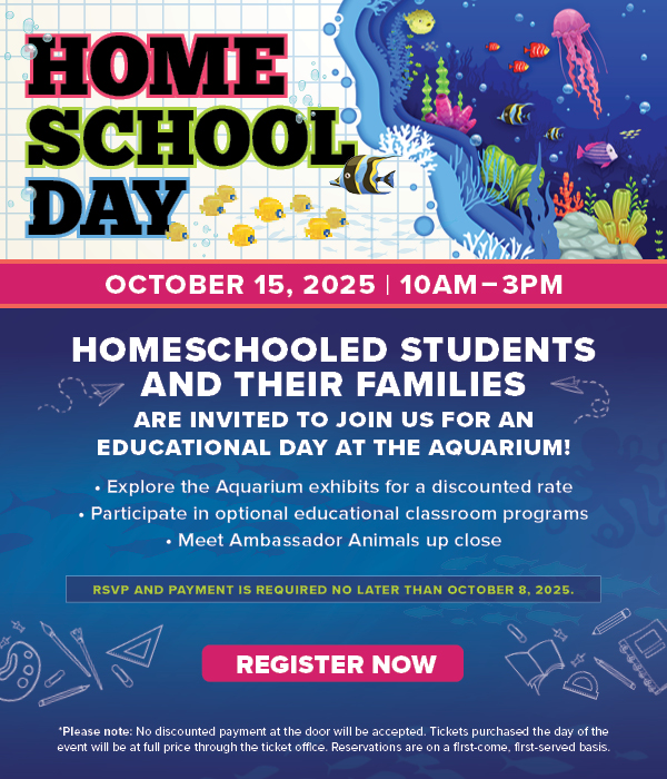 Homeschooled students and their families are invited for an educational day at the Aquarium!