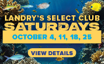 LSC Saturdays