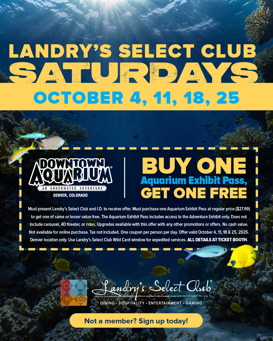LSC Weekend