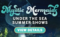 Mystic Mermaid