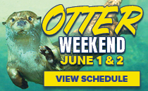 Otter Weekend