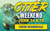 Otter Weekend
