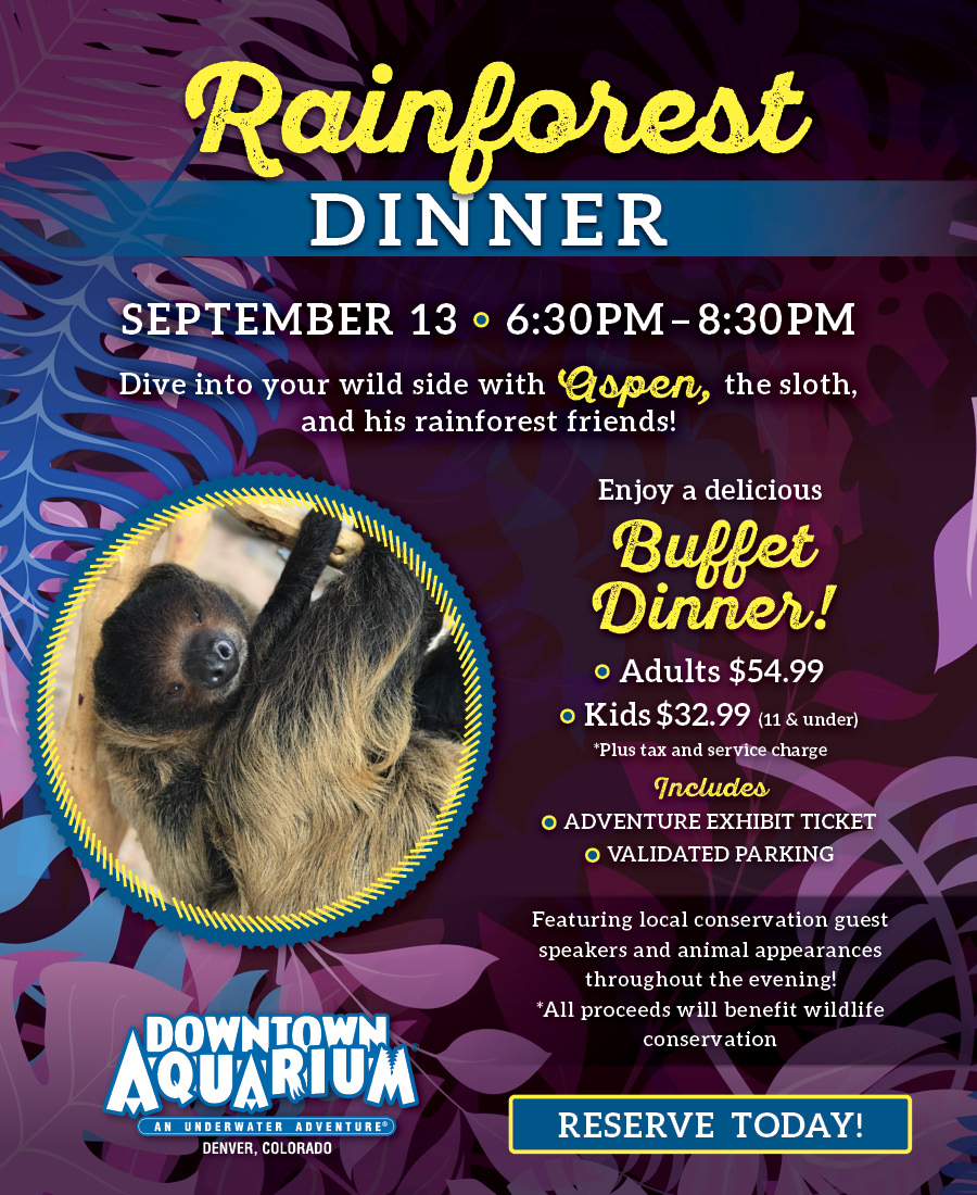 Rainforest Adventures Dinner