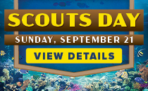 Scouts Day