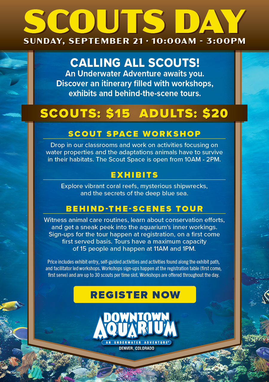 Scouts Day