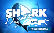 Shark Day