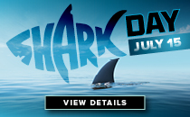 Shark Day