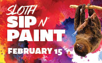 Sloth and Paint