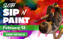 Sloth Sip N Paint