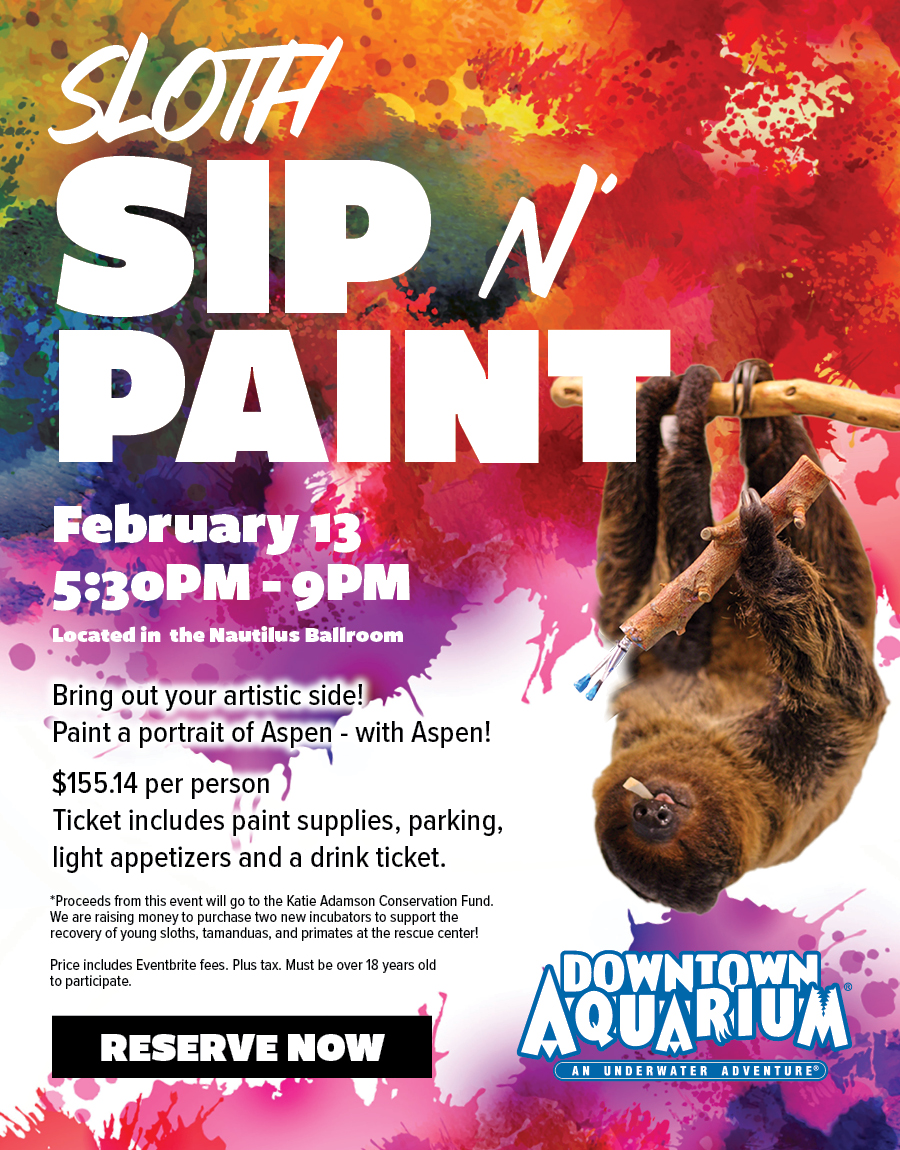 Sloth - Sip N Paint