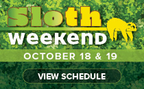 Sloth Weekend