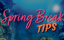 Spring Break Tips