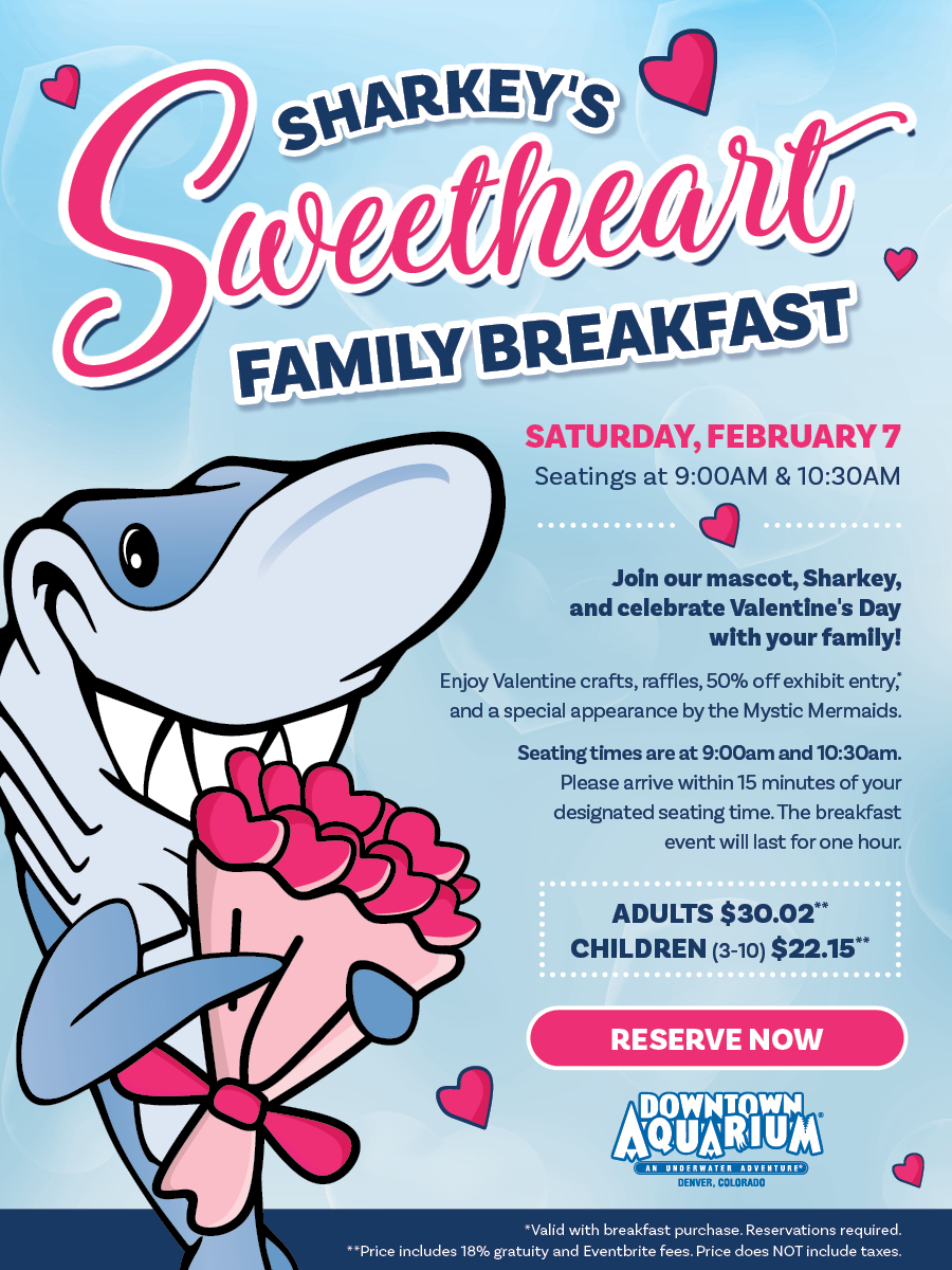 Sharkey's Sweetheart Breakfast