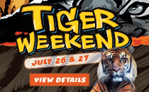 Tiger Weekend