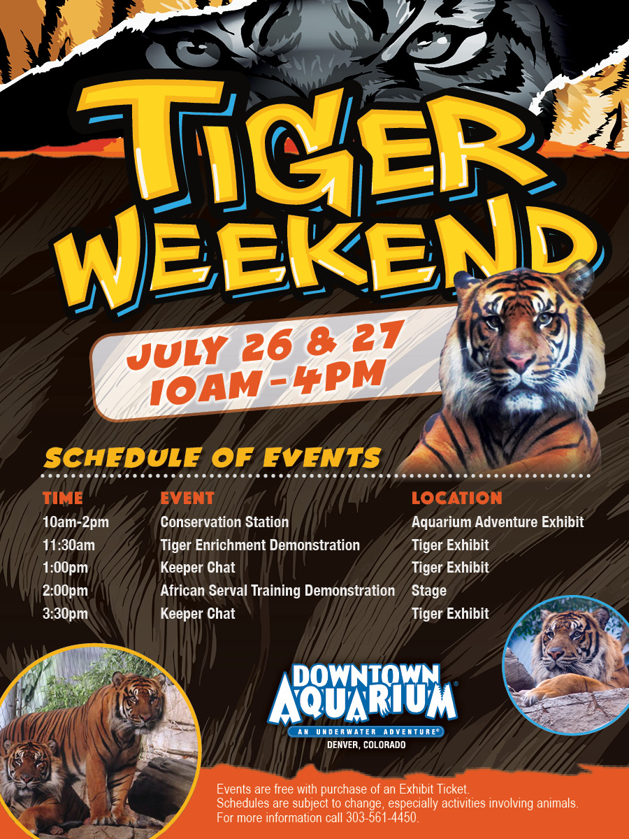 Tiger Weekend