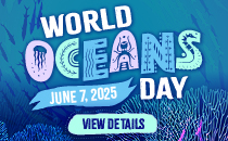 World Oceans Day