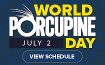 World Porcupine Day