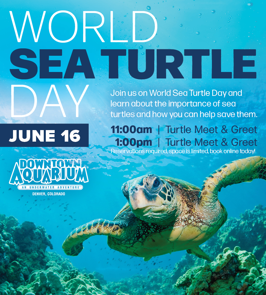 World Sea Turtle Day at the Downtown Aquarium in Denver