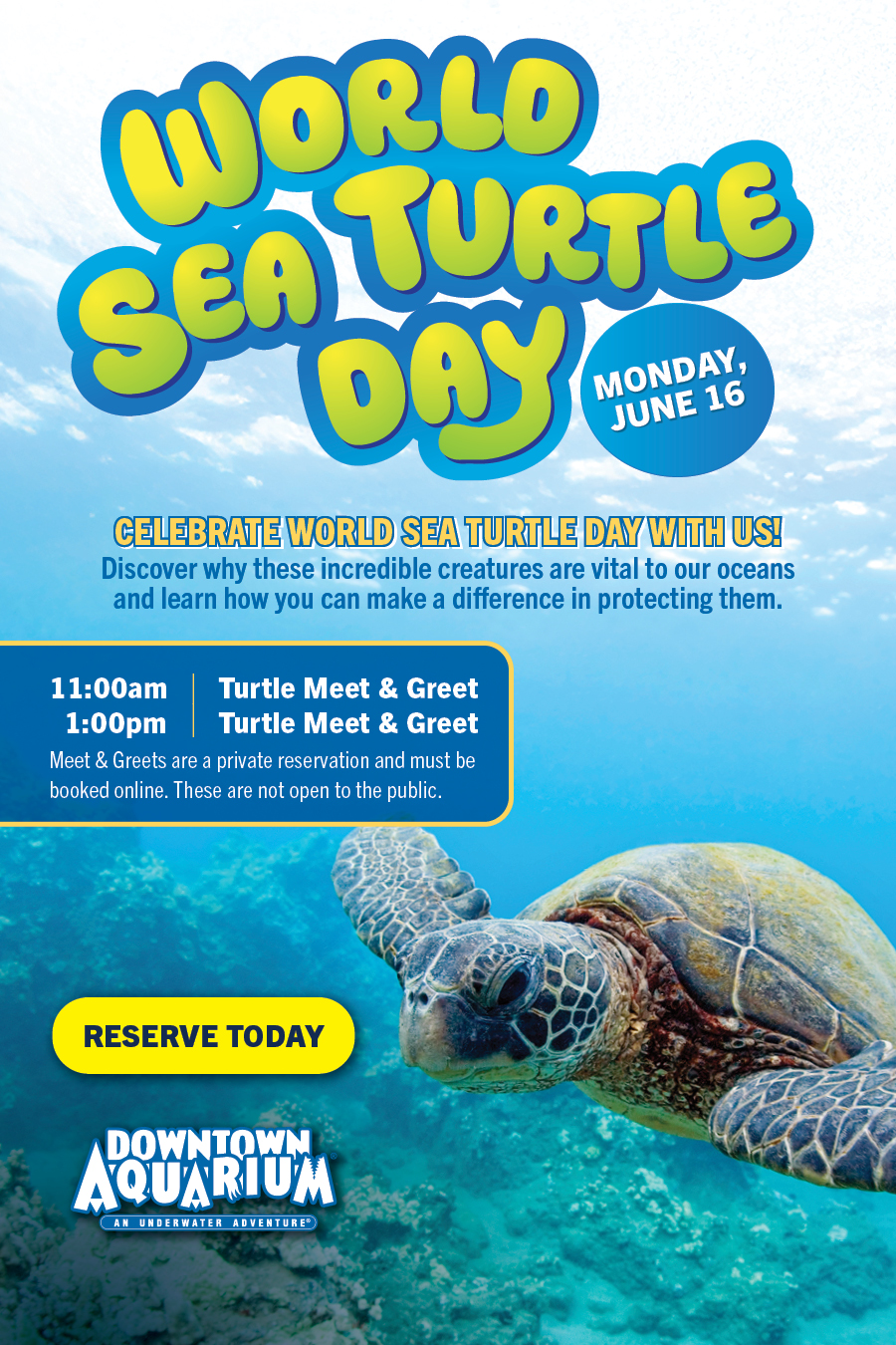 World Sea Turtle Day at the Downtown Aquarium in Denver