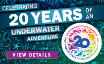 20th Anniversary