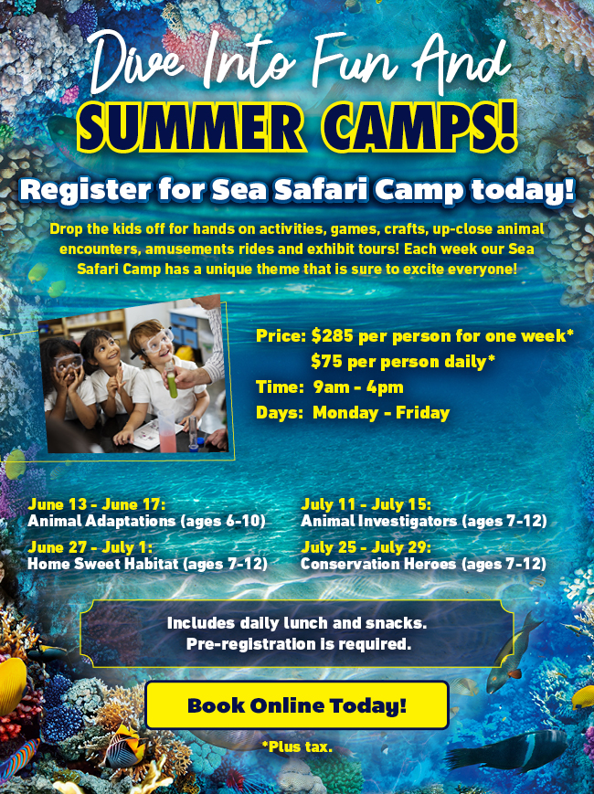 Summer Camps- Aquarium promo