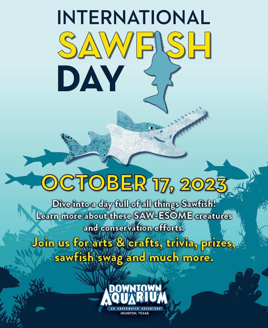 International SwordFish