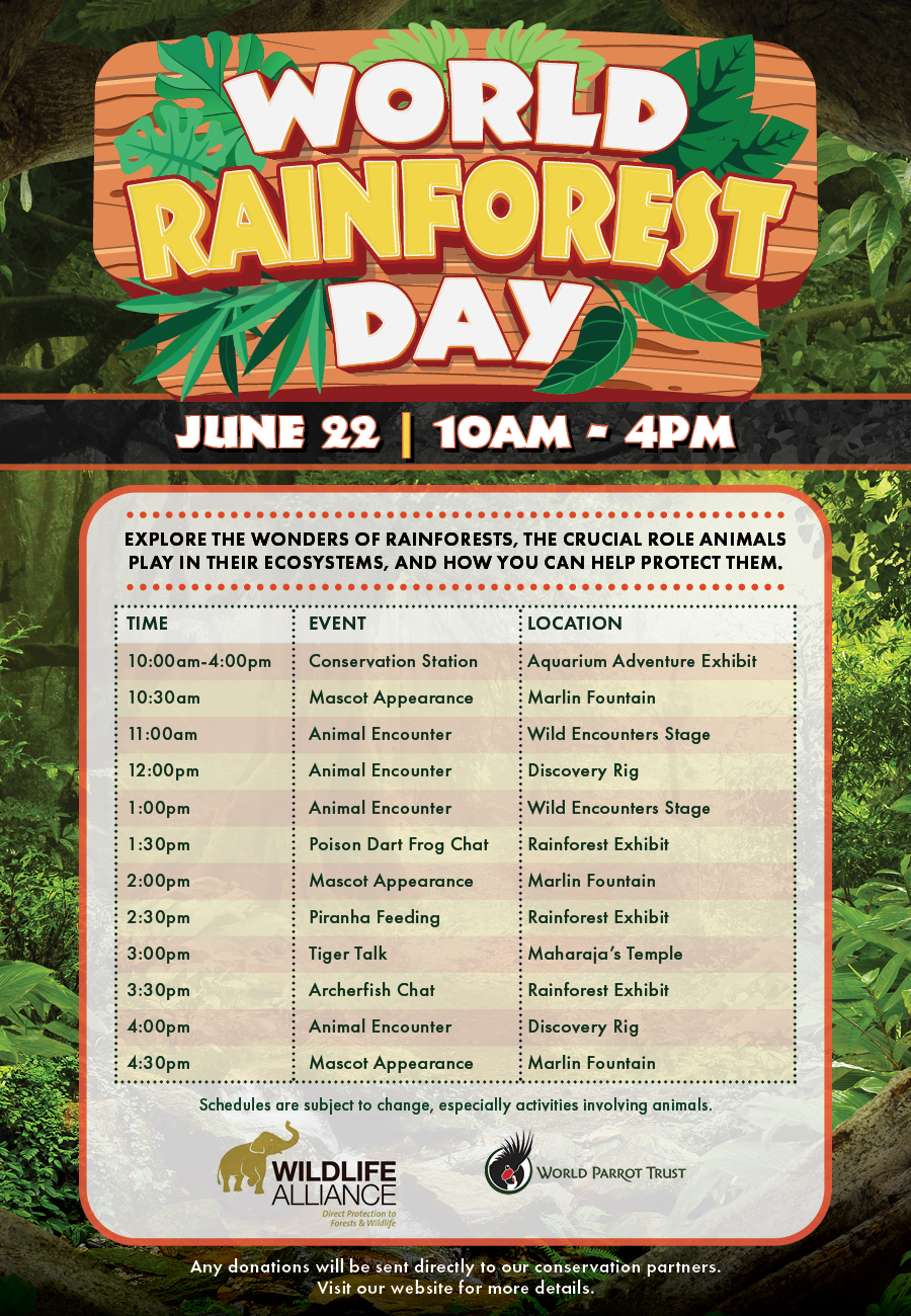 World Rainforest Day