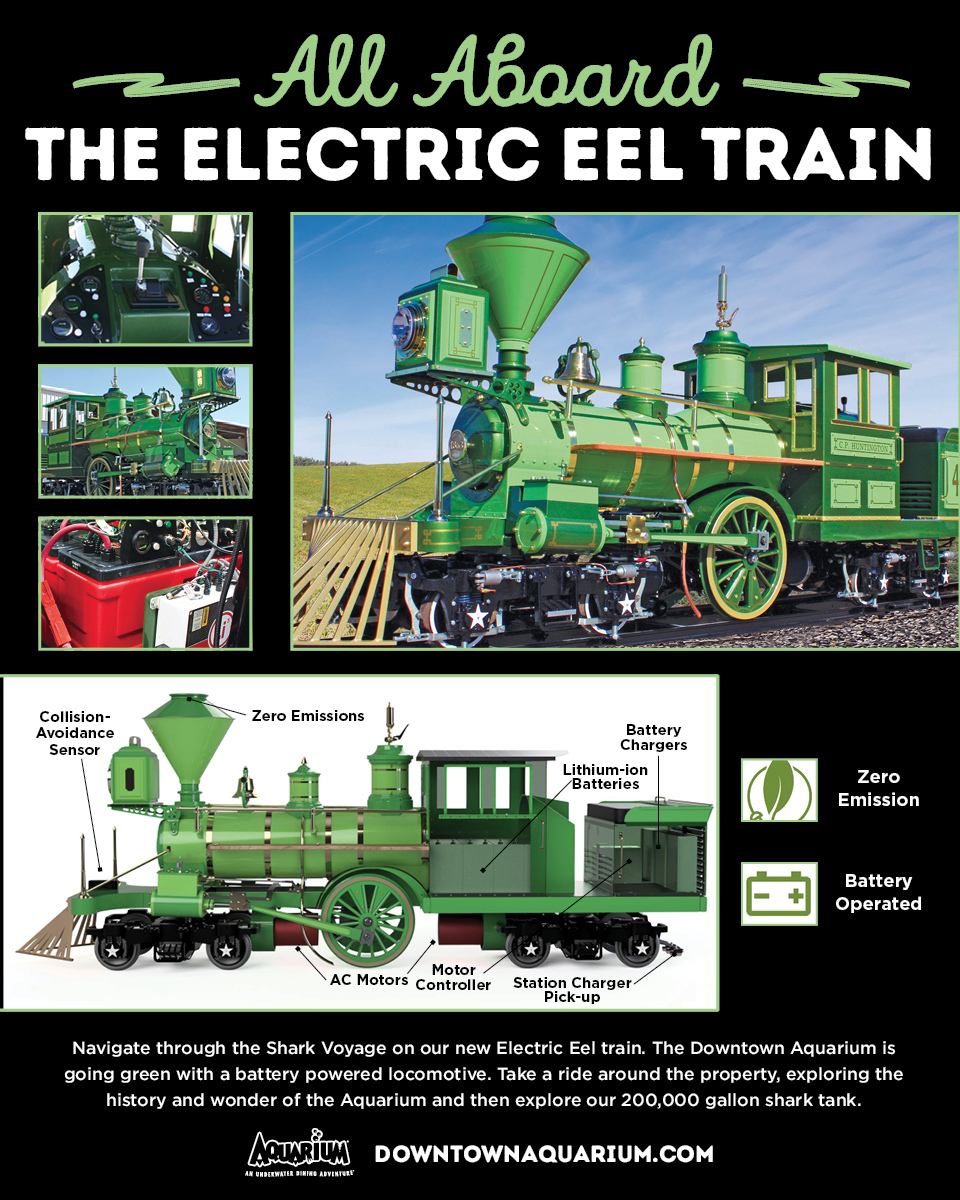 All A-board The Electric Eel Train