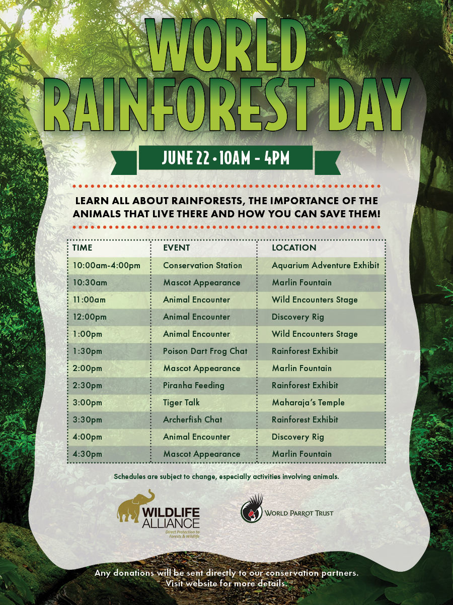 World Rainforest Day