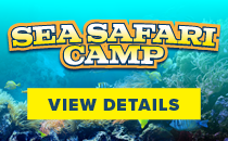 Sea Safari Camp