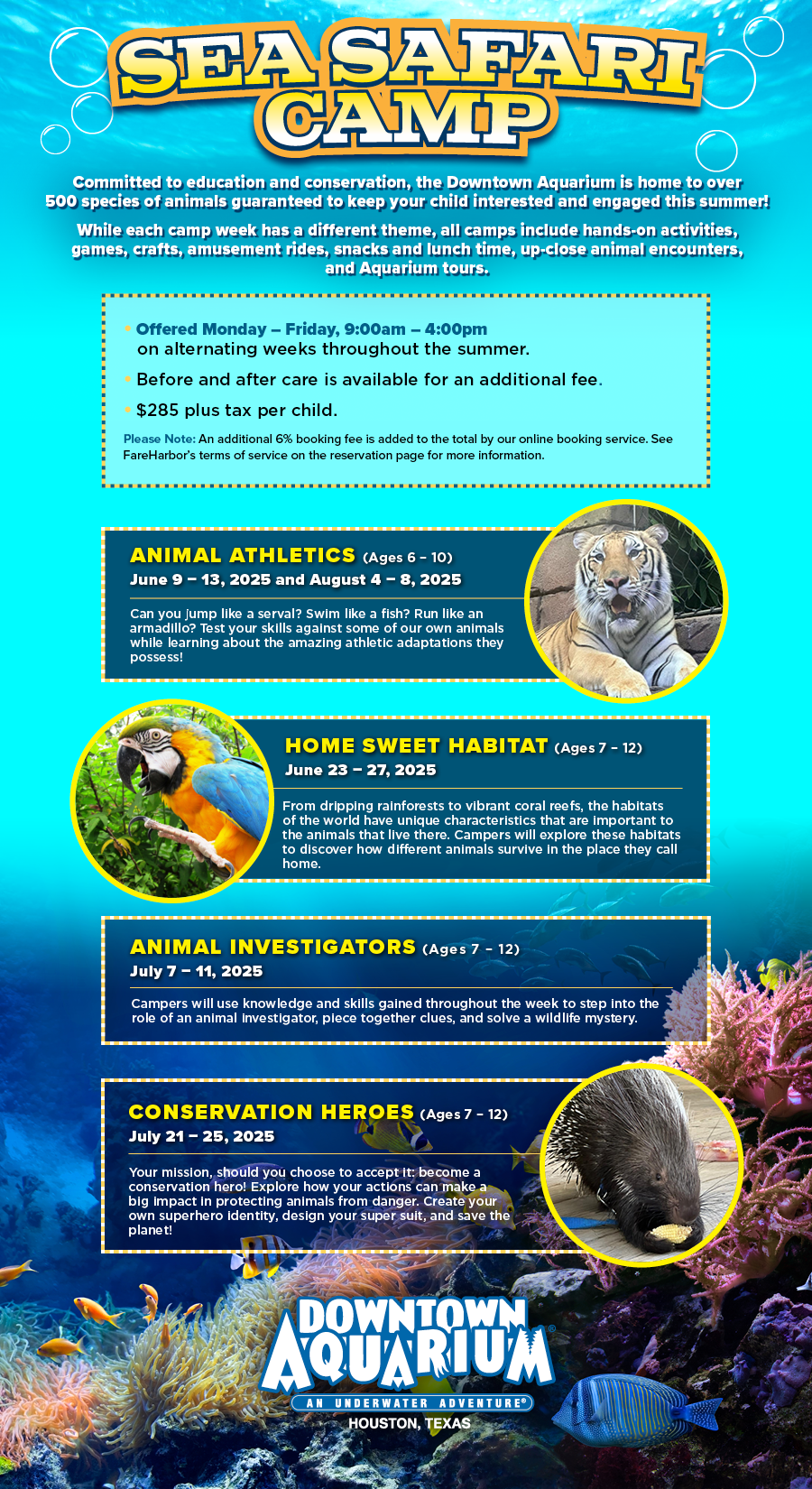 Sea Safari Camp
