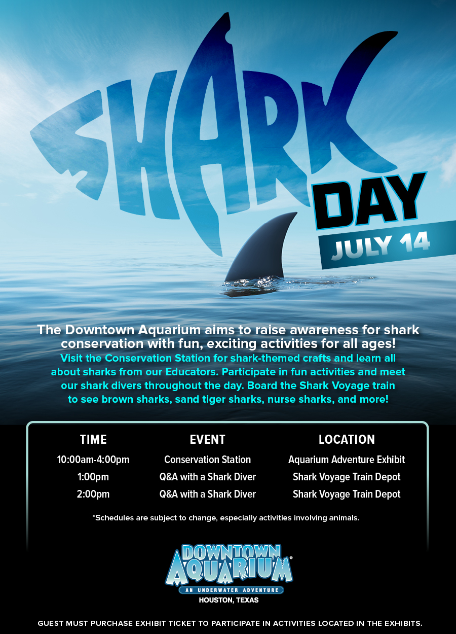 Shark Day - July 14th 2019