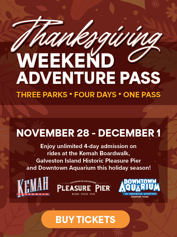 Thanksgiving Weekend Adventure Pass