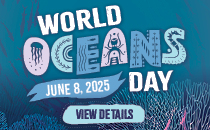 World Oceans Day