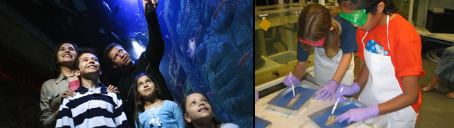 Photo of a family at the aquarium and an interactive exhibit