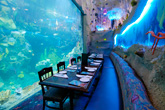 Dining at the Downtown Aquarium