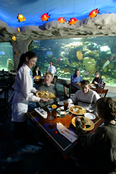 Dining at the Downtown Aquarium