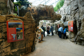 Dining at the Downtown Aquarium