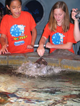 Stingray exhibit