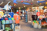 photo of the gift shop