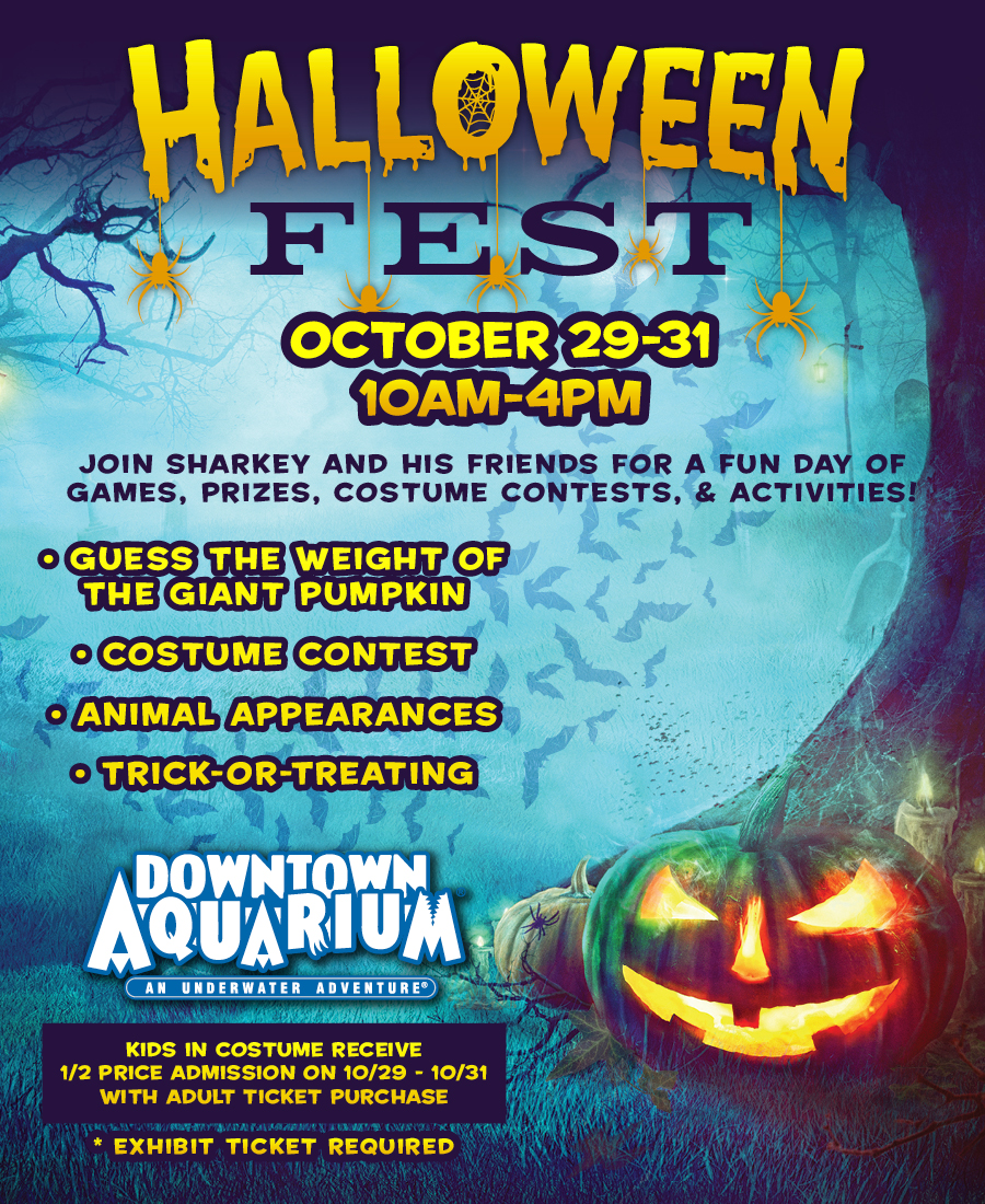 Join us during Halloween Kids Fest 