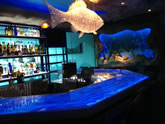 Dive bar at the Downtown Aquarium