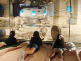 Girls gazing at the tiger exhibit
