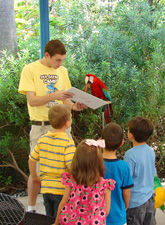 Aquarium of a parrot