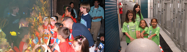 Field trip children at the aquarium