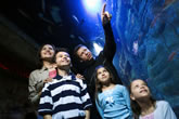 Family Aquarium