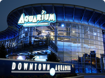 Denver Aquarium